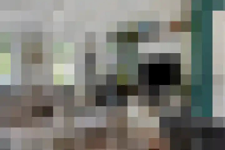 Van Heenvlietstraat 6 Kattendijke thumbnail 9
