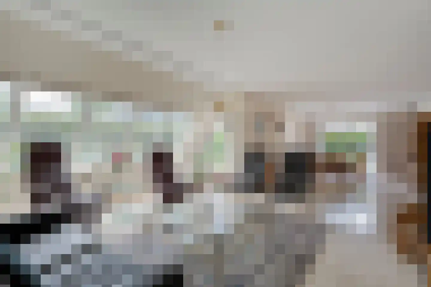 Van Heerdtmarke 6 Zwolle thumbnail 12