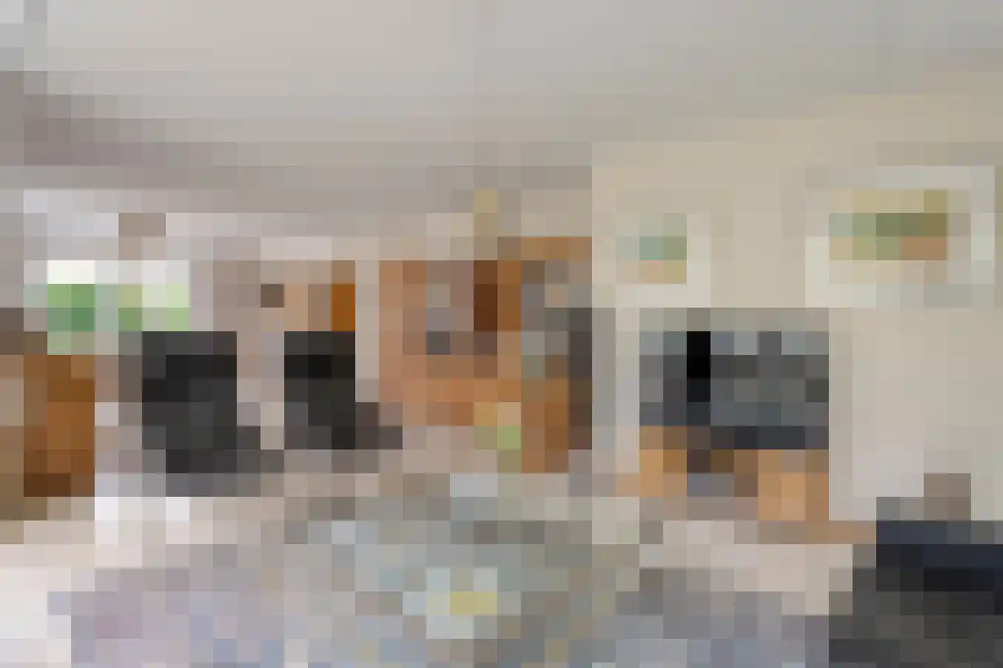 Van Heerdtmarke 6 Zwolle thumbnail 13