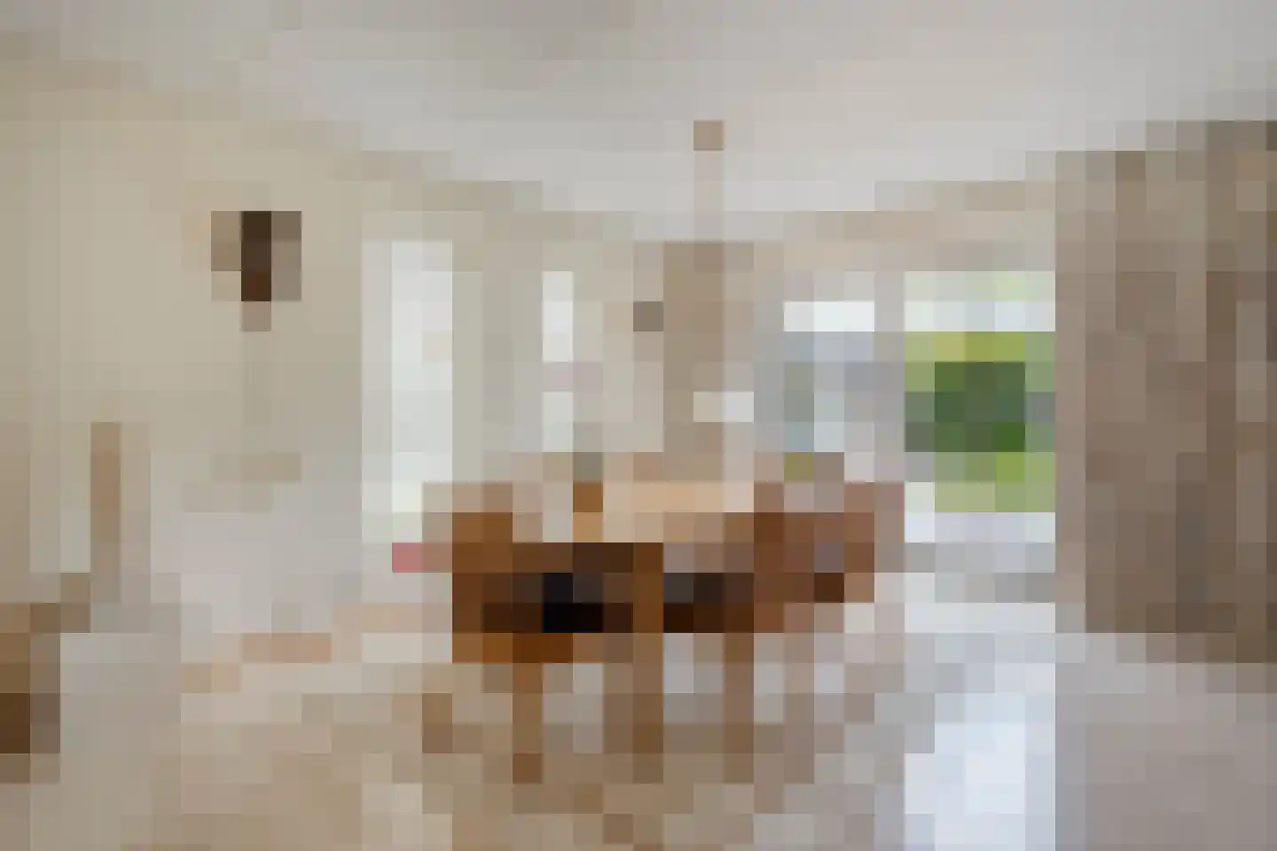 Van Heerdtmarke 6 Zwolle thumbnail 17
