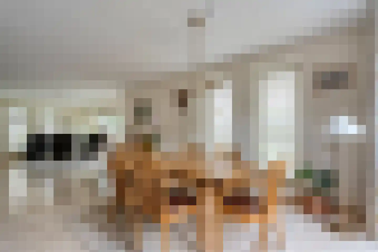 Van Heerdtmarke 6 Zwolle thumbnail 18