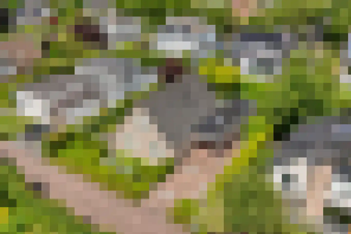 Van Heerdtmarke 6 Zwolle thumbnail 4