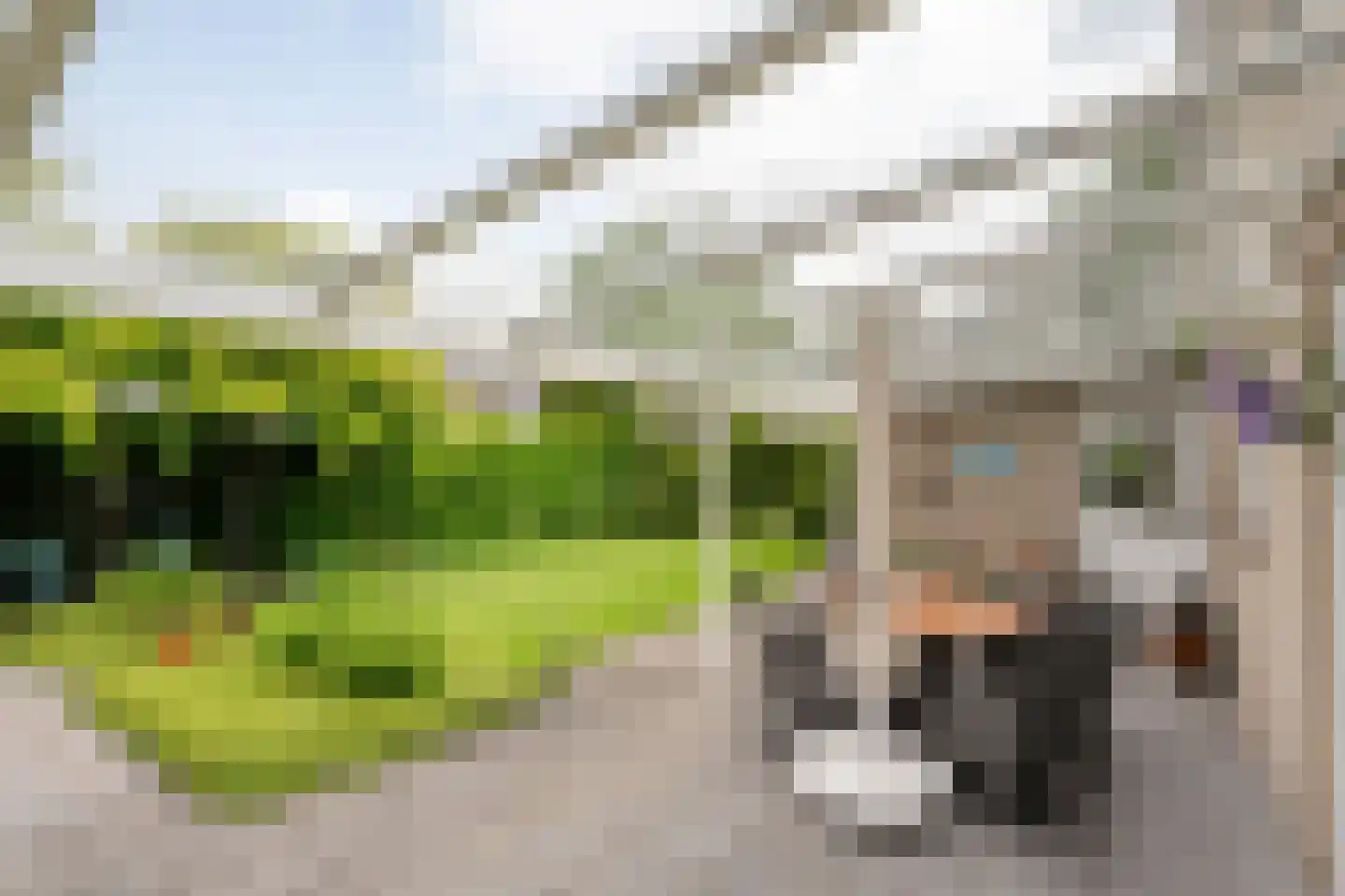 Van Heerdtmarke 6 Zwolle thumbnail 43