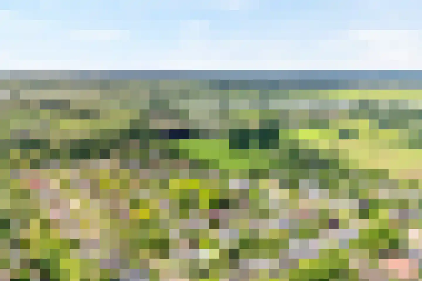 Van Heerdtmarke 6 Zwolle thumbnail 6