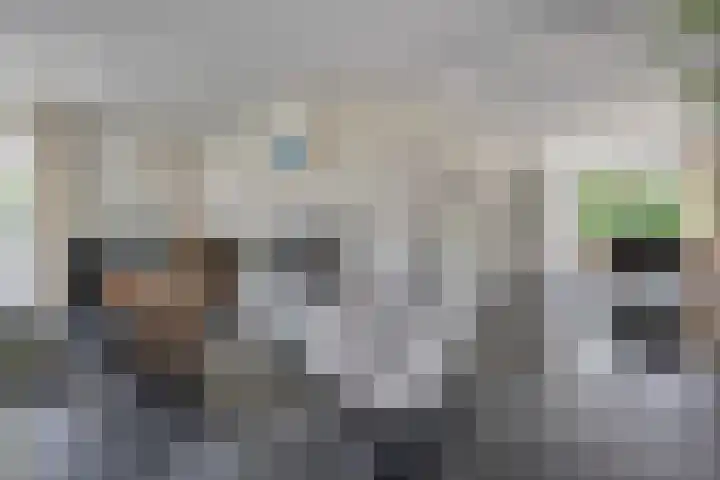 Van Heerdtmarke 7 Zwolle thumbnail 11