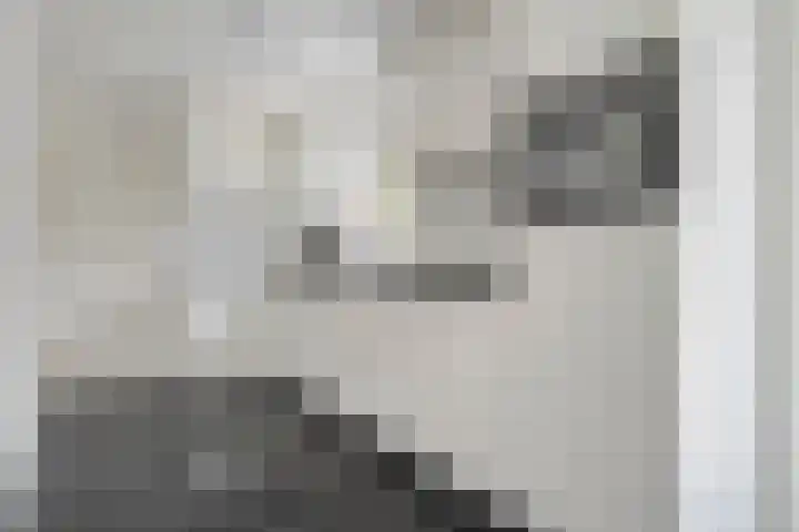 Van Heerdtmarke 7 Zwolle thumbnail 15