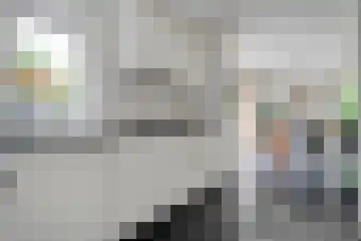 Van Heerdtmarke 7 Zwolle thumbnail 16