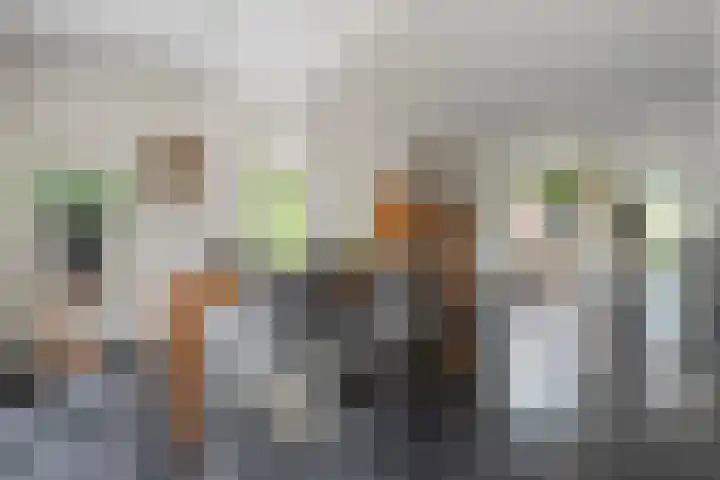Van Heerdtmarke 7 Zwolle thumbnail 17