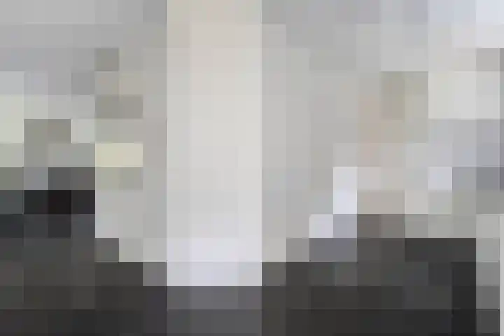 Van Heerdtmarke 7 Zwolle thumbnail 19