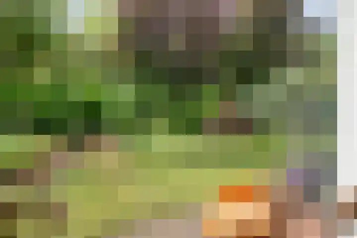 Van Heerdtmarke 7 Zwolle thumbnail 20