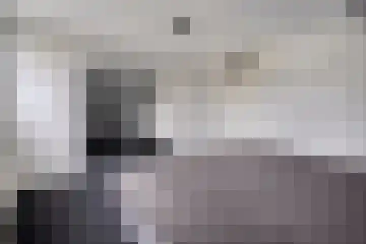 Van Heerdtmarke 7 Zwolle thumbnail 27