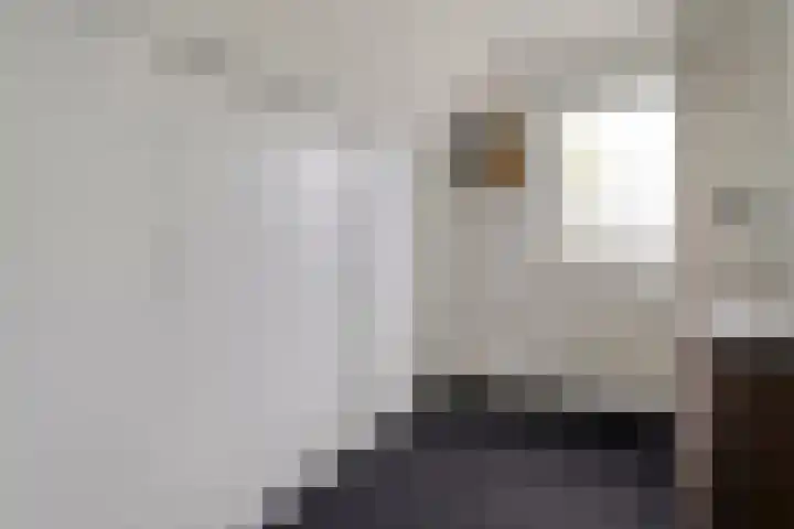Van Heerdtmarke 7 Zwolle thumbnail 28