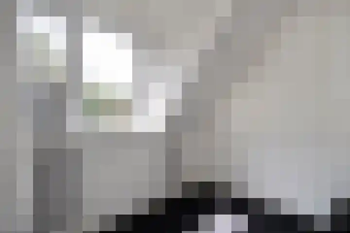 Van Heerdtmarke 7 Zwolle thumbnail 36
