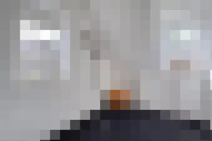 Van Heerdtmarke 7 Zwolle thumbnail 38
