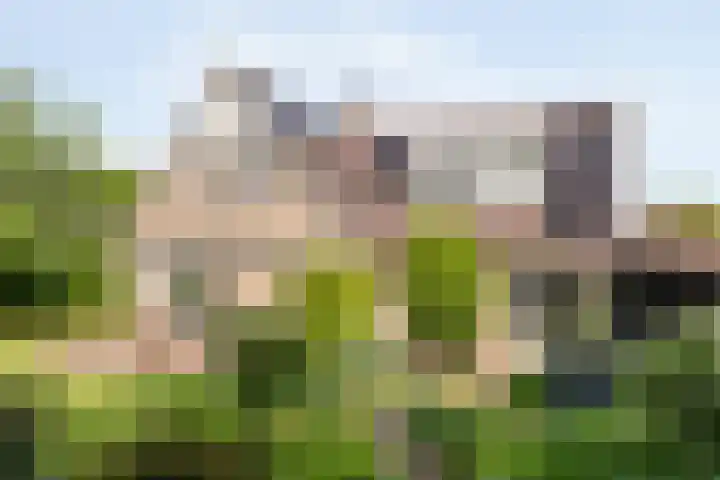 Van Heerdtmarke 7 Zwolle thumbnail 39