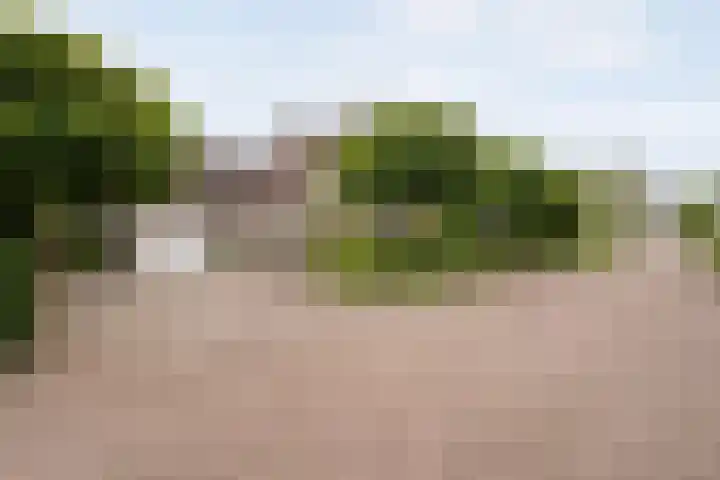 Van Heerdtmarke 7 Zwolle thumbnail 4