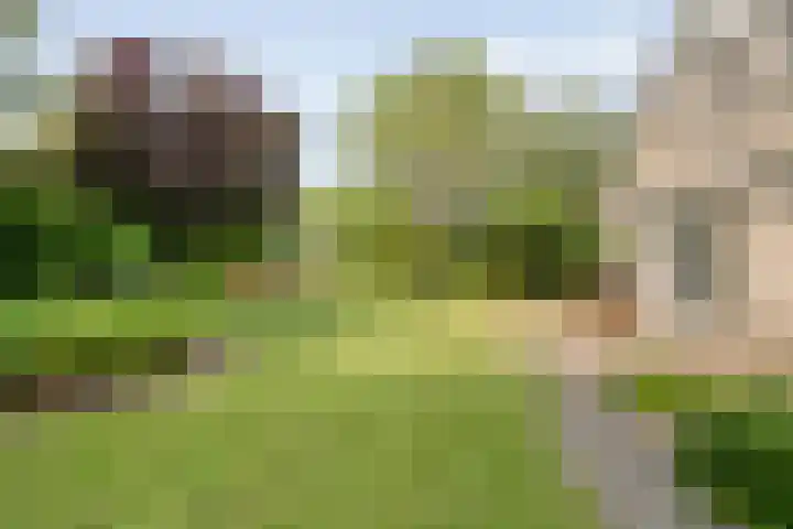 Van Heerdtmarke 7 Zwolle thumbnail 40