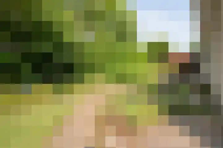 Van Heerdtmarke 7 Zwolle thumbnail 41