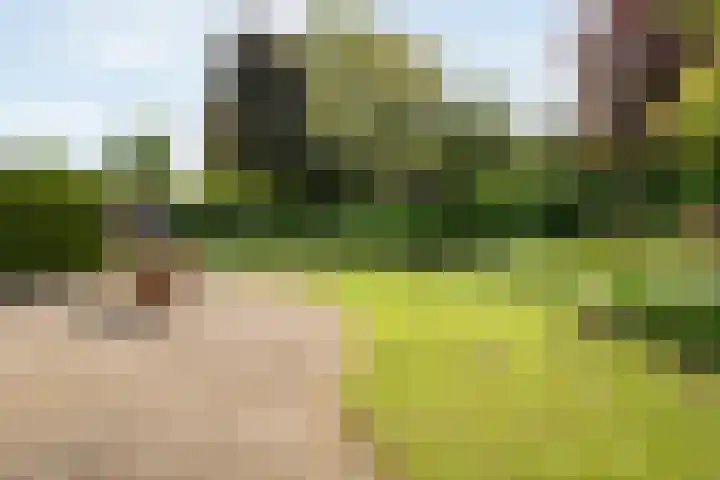 Van Heerdtmarke 7 Zwolle thumbnail 42