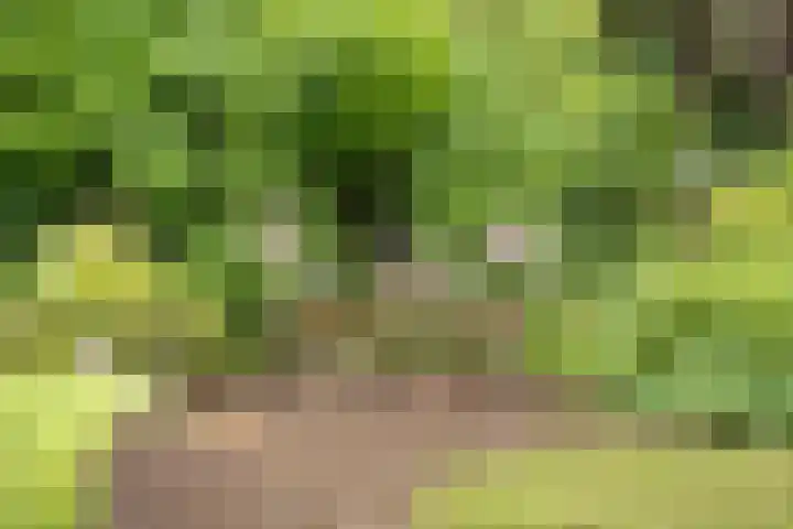 Van Heerdtmarke 7 Zwolle thumbnail 43