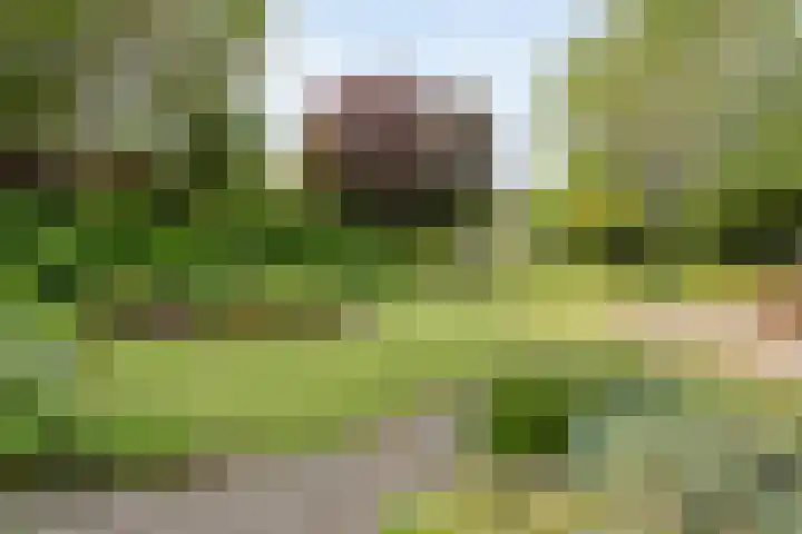 Van Heerdtmarke 7 Zwolle thumbnail 44