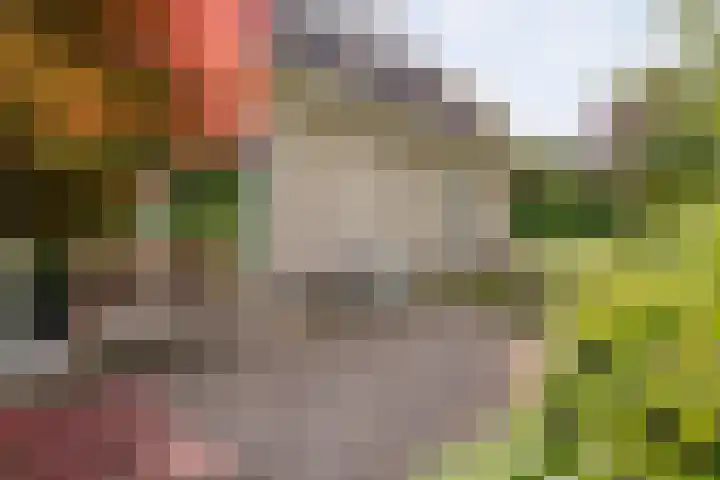Van Heerdtmarke 7 Zwolle thumbnail 45