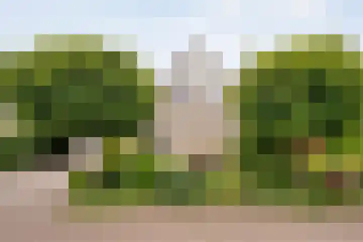 Van Heerdtmarke 7 Zwolle thumbnail 47