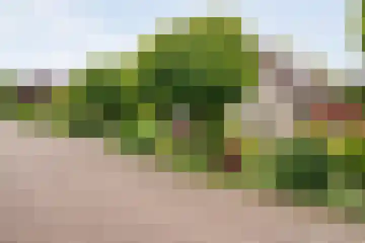 Van Heerdtmarke 7 Zwolle thumbnail 48