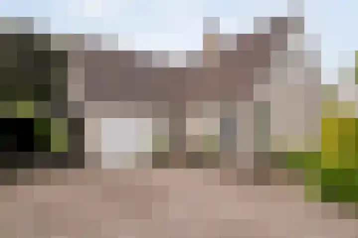 Van Heerdtmarke 7 Zwolle thumbnail 5