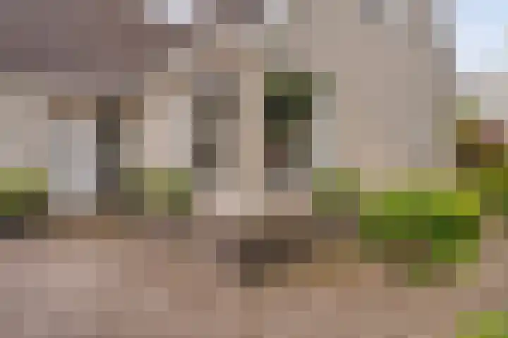 Van Heerdtmarke 7 Zwolle thumbnail 50