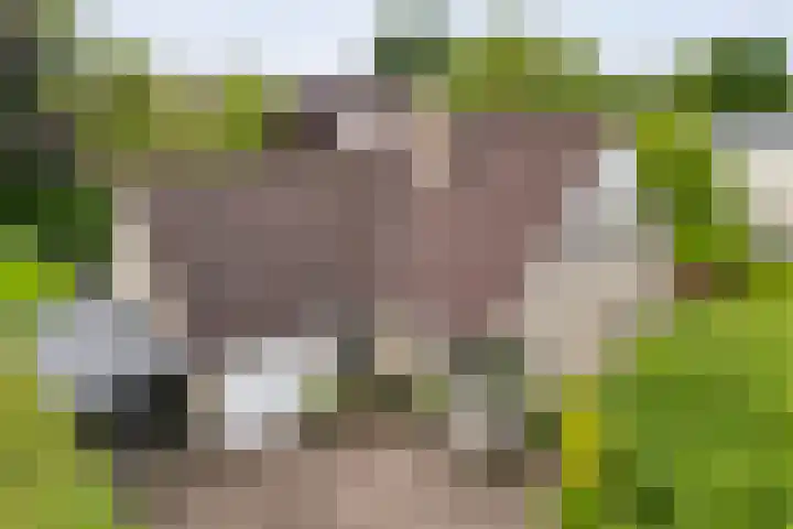 Van Heerdtmarke 7 Zwolle thumbnail 53