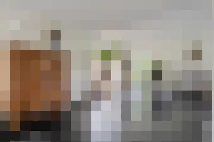 Van Heerdtmarke 7 Zwolle thumbnail 8