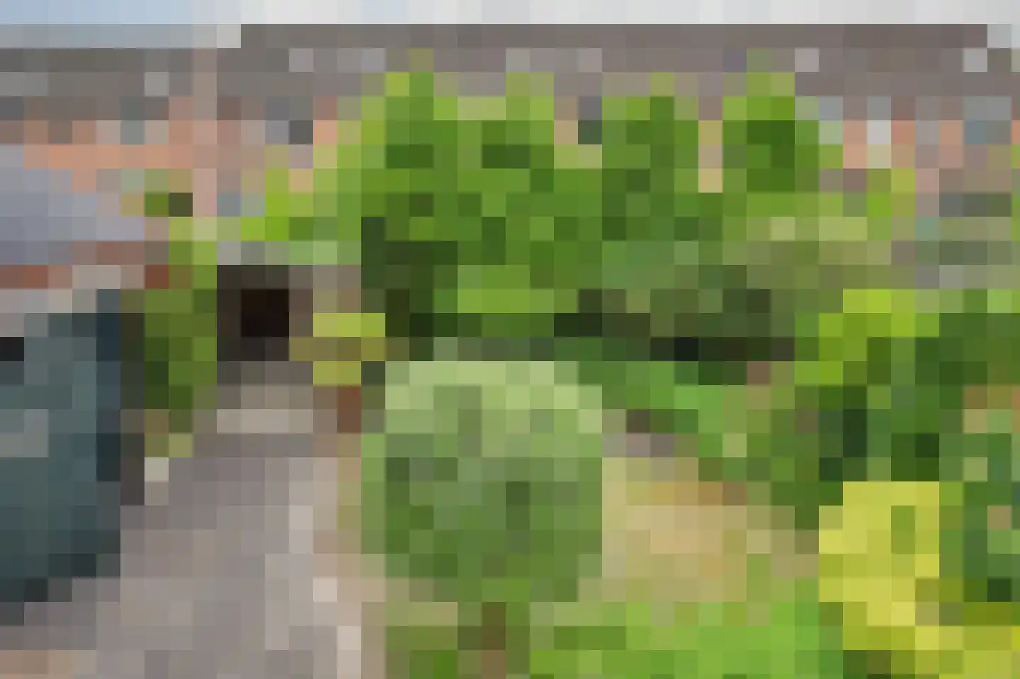 Van Heesenstraat 7 's-Gravendeel thumbnail 39