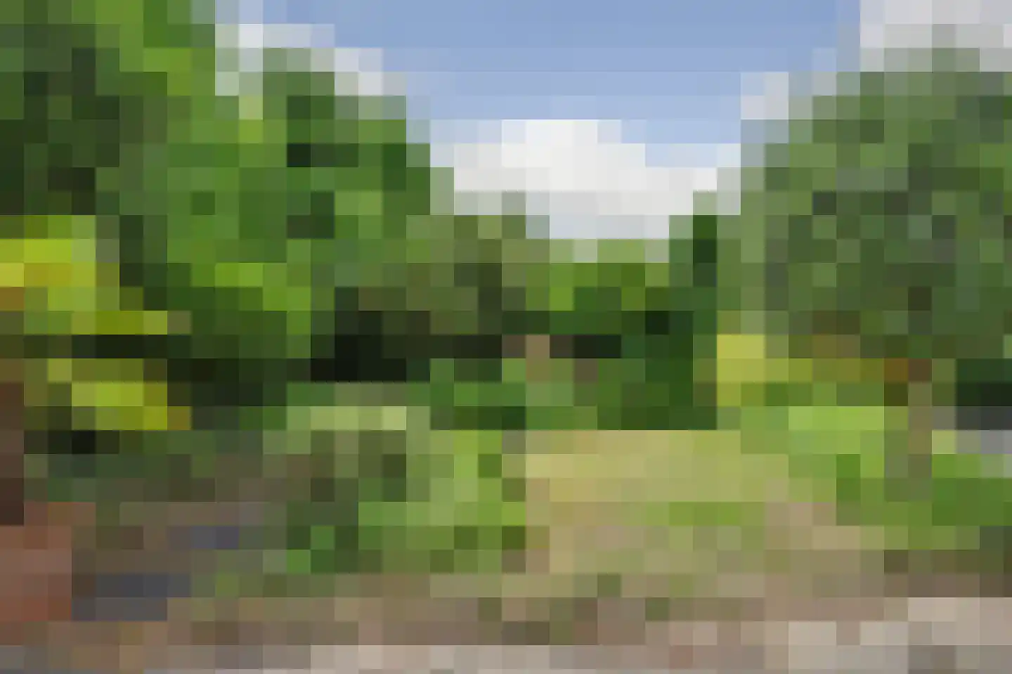 Van Heesenstraat 7 's-Gravendeel thumbnail 50