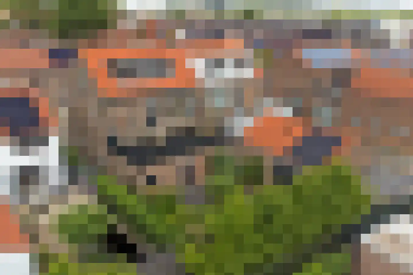 Van Heesenstraat 7 's-Gravendeel thumbnail 59