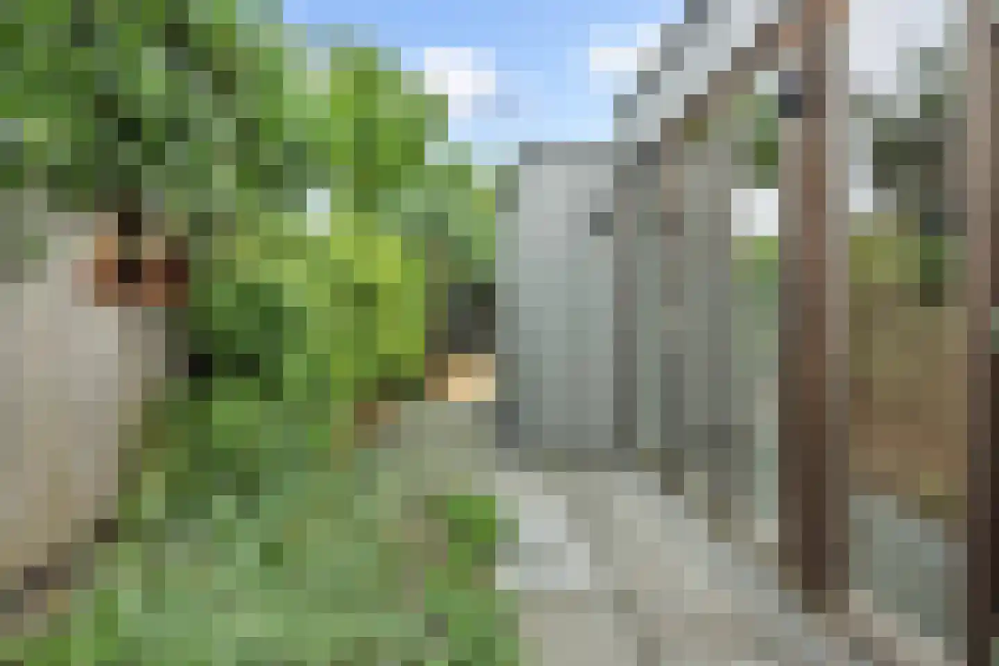 Van Heeswijkstraat 11 Vught thumbnail 37