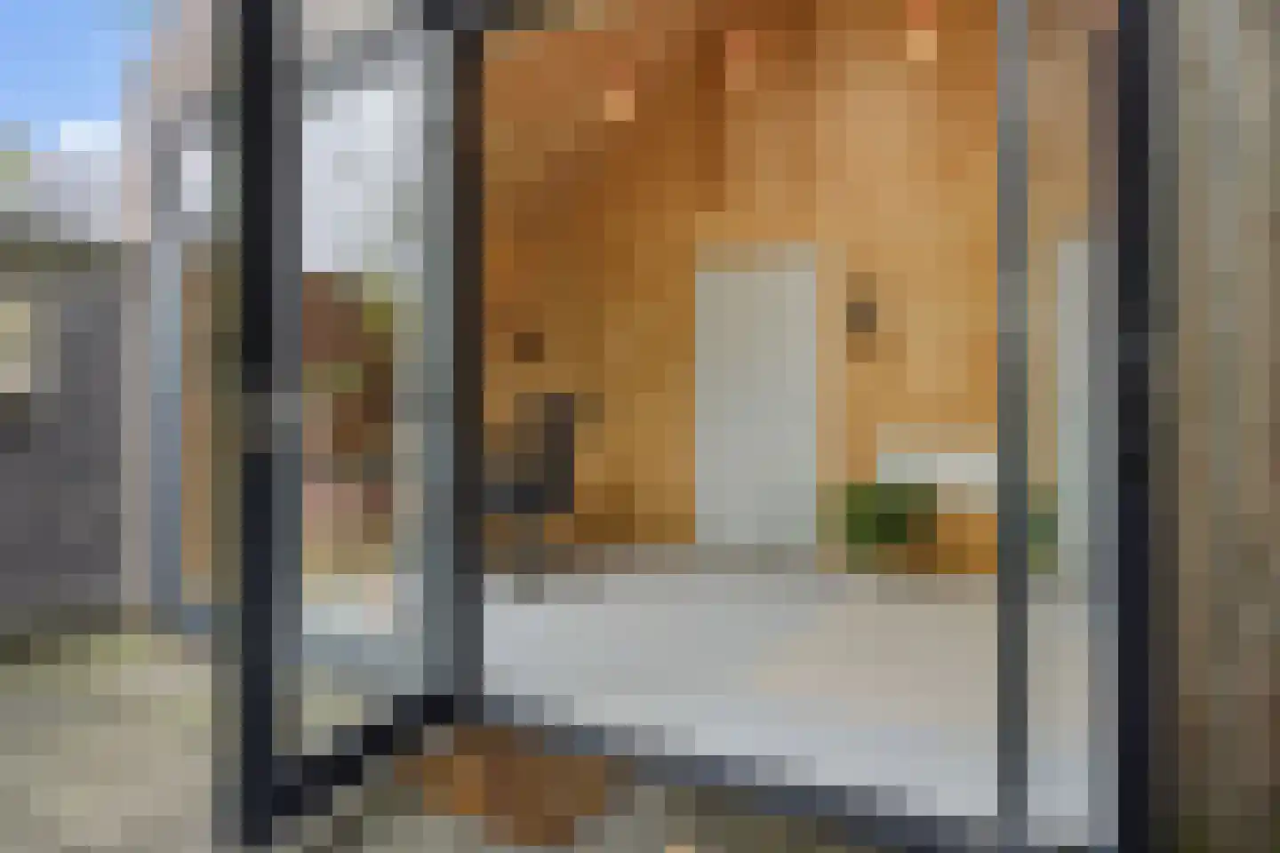 Van Heeswijkstraat 11 Vught thumbnail 42