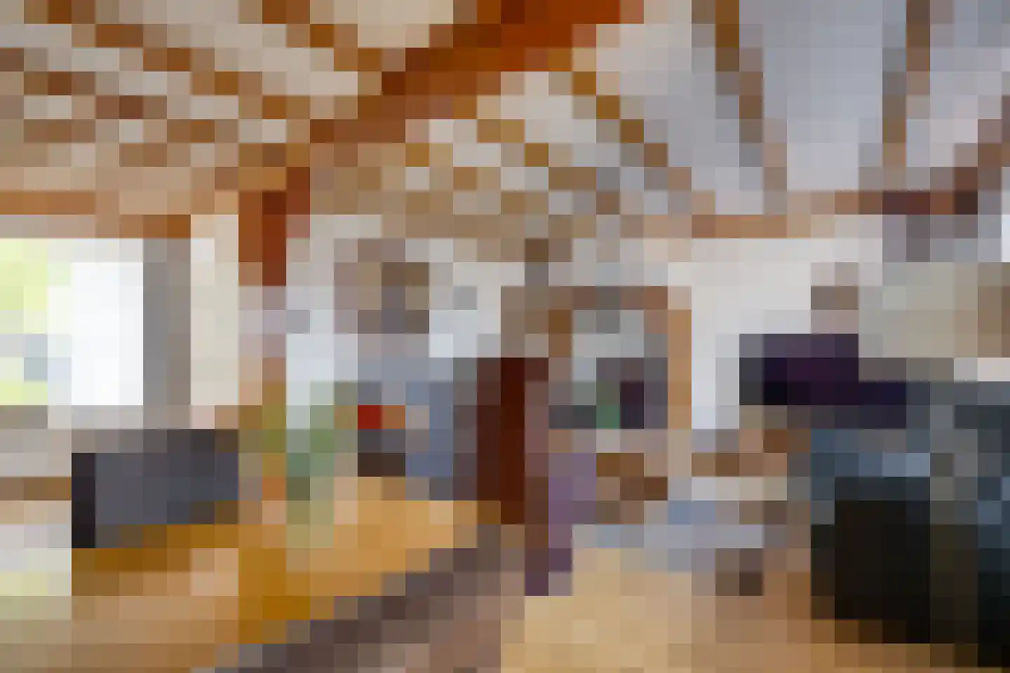 Van Heeswijkstraat 12 Udenhout thumbnail 12