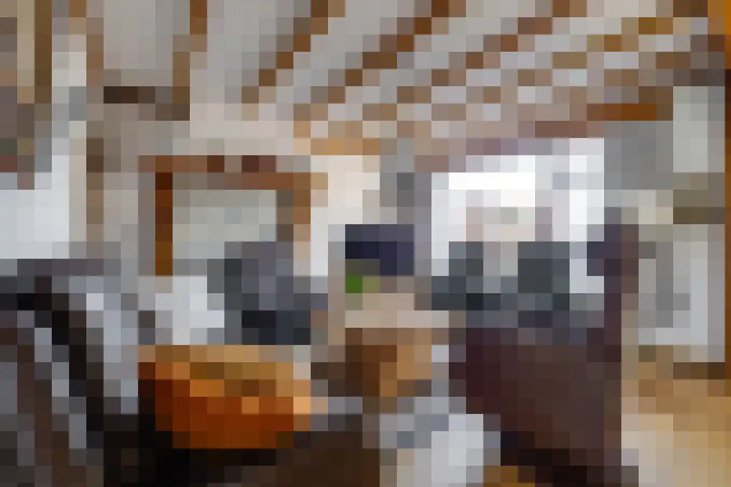 Van Heeswijkstraat 12 Udenhout thumbnail 13