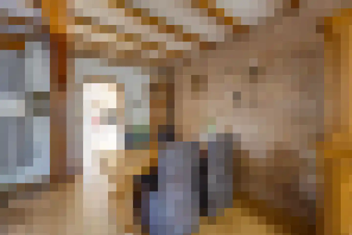 Van Heeswijkstraat 12 Udenhout thumbnail 14
