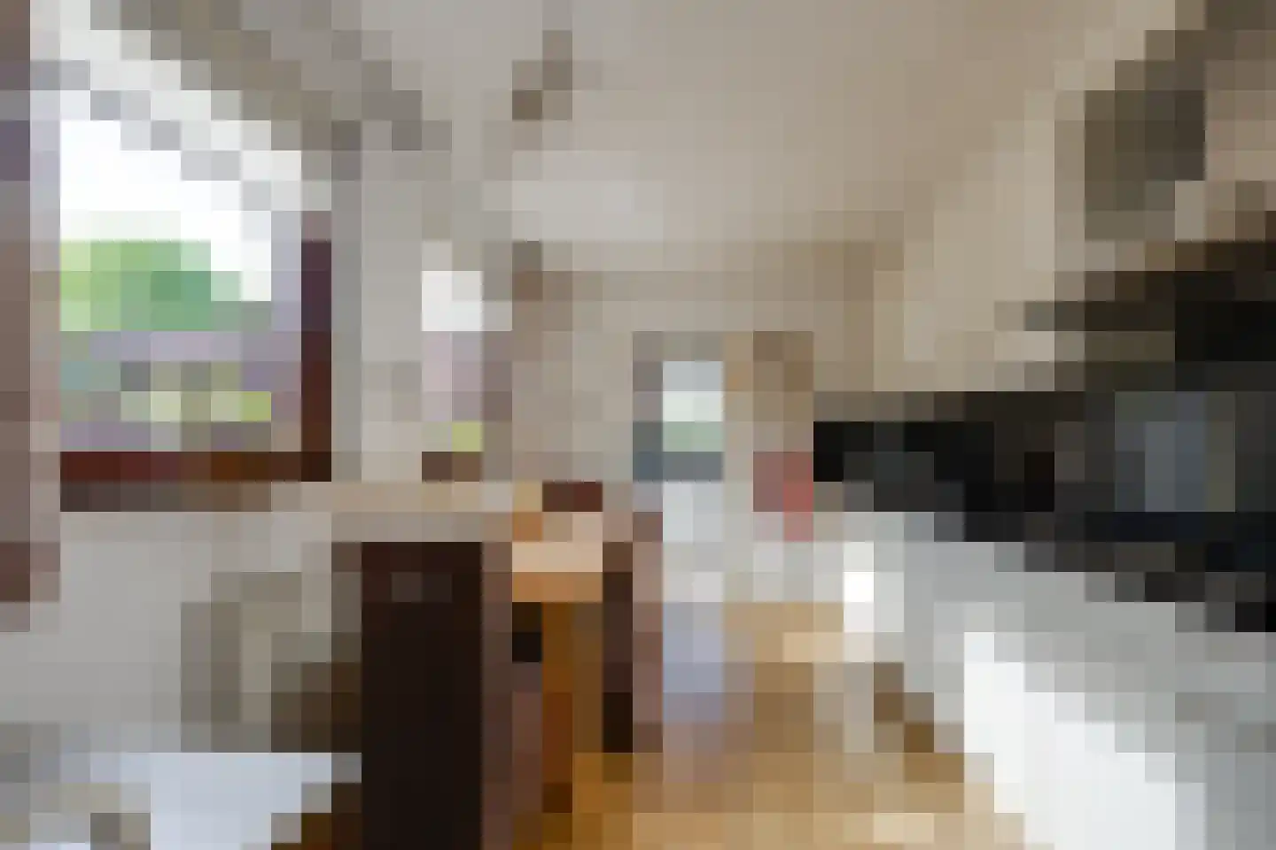 Van Heeswijkstraat 12 Udenhout thumbnail 15