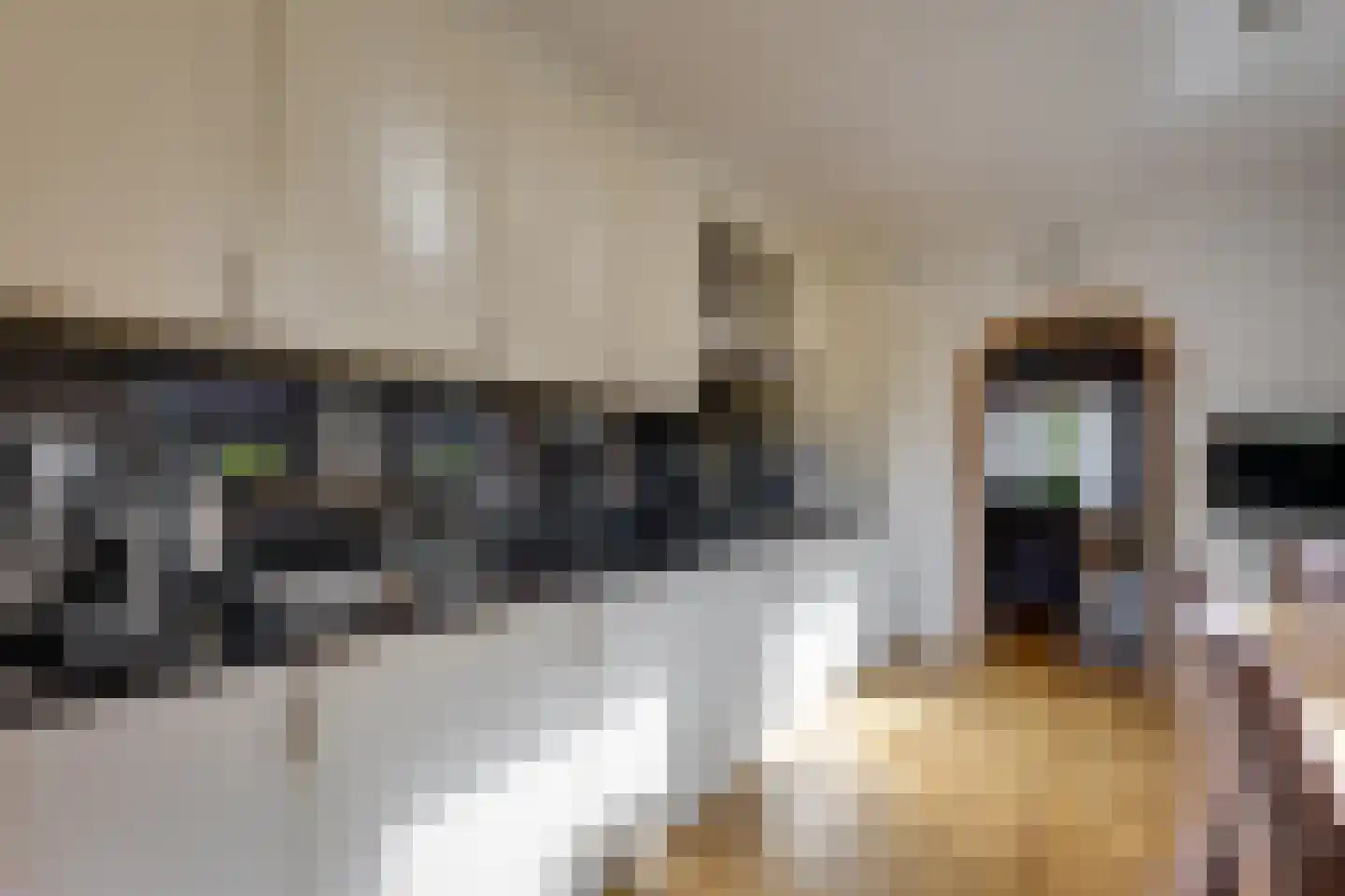 Van Heeswijkstraat 12 Udenhout thumbnail 17