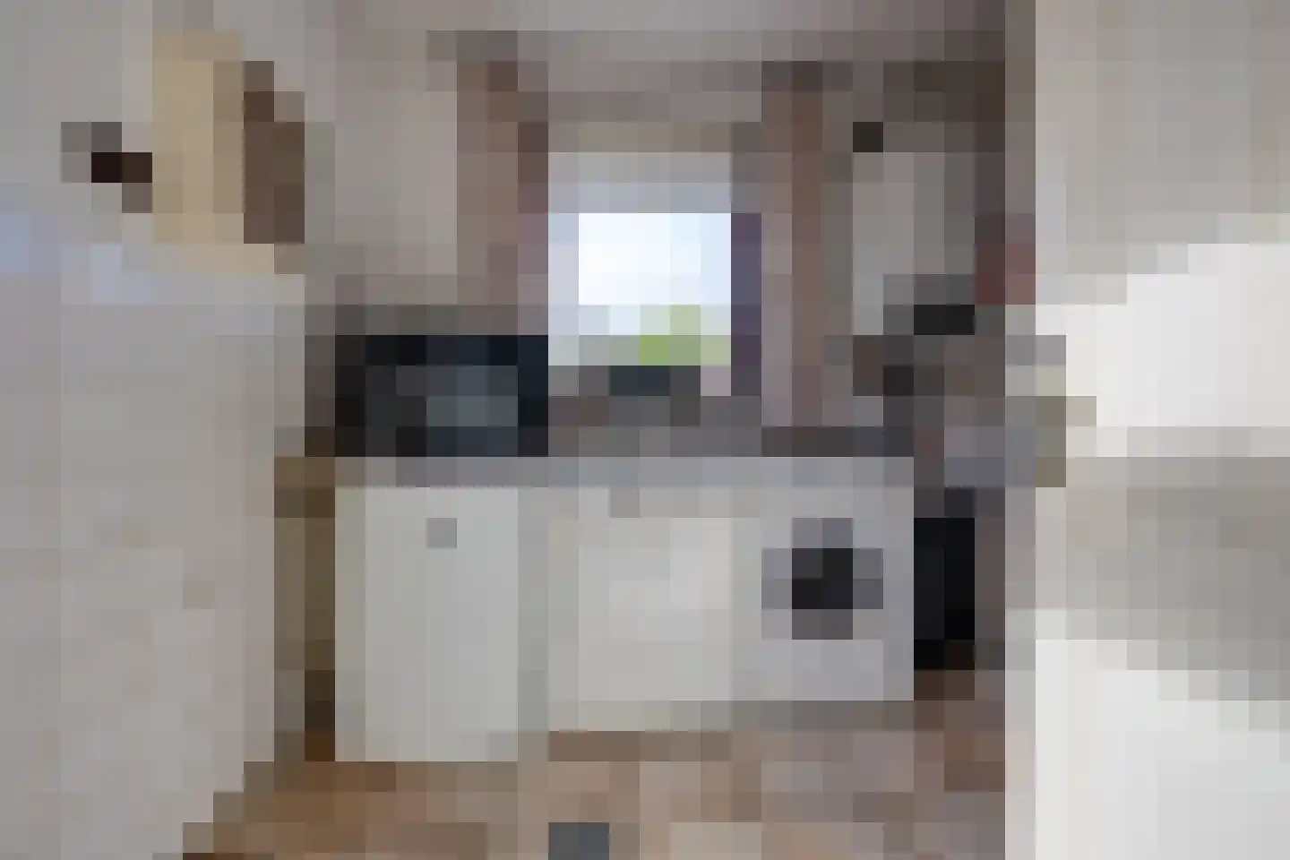 Van Heeswijkstraat 12 Udenhout thumbnail 18