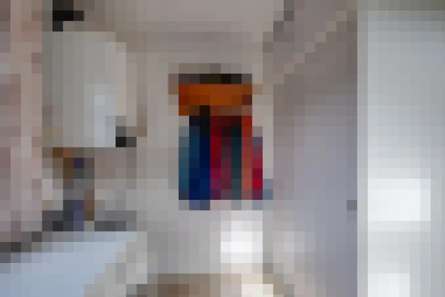 Van Heeswijkstraat 12 Udenhout thumbnail 20