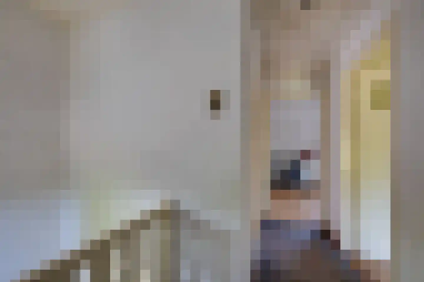 Van Heeswijkstraat 12 Udenhout thumbnail 23