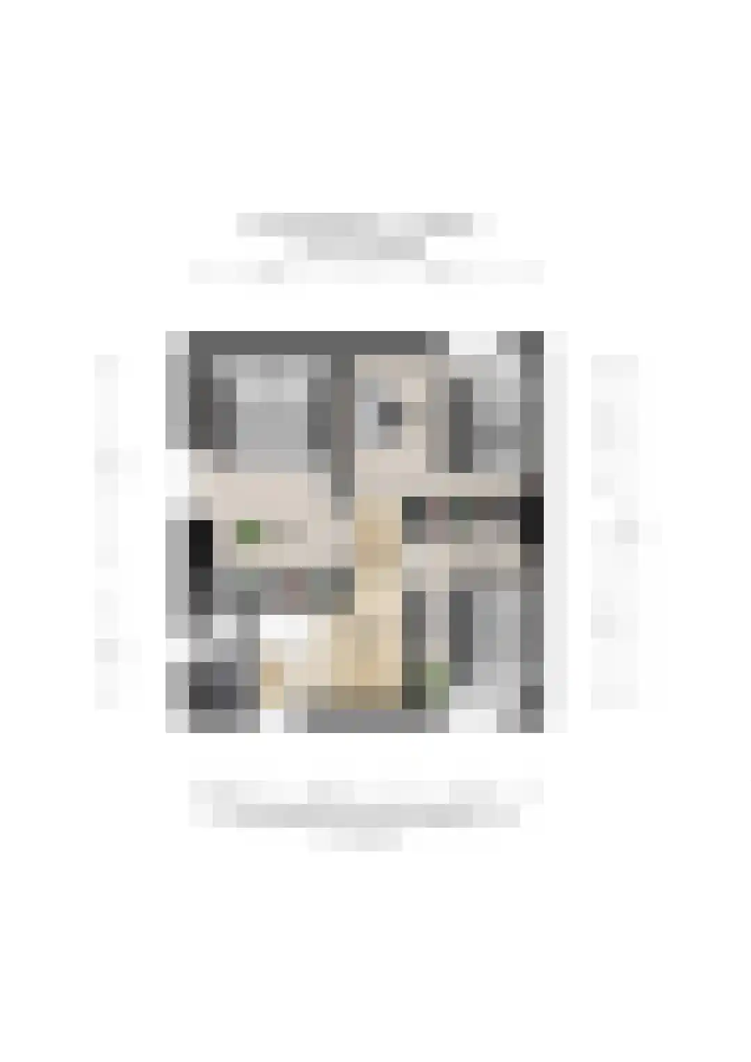Van Heeswijkstraat 12 Udenhout thumbnail 46