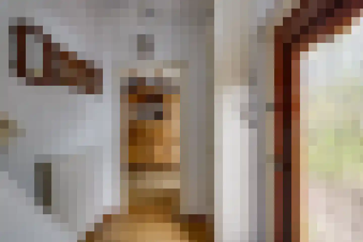 Van Heeswijkstraat 12 Udenhout thumbnail 6