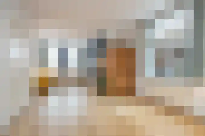 Van Heeswijkstraat 20 Udenhout thumbnail 12
