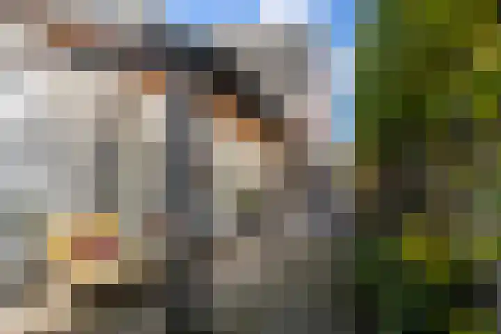 Van Heeswijkstraat 20 Udenhout thumbnail 30