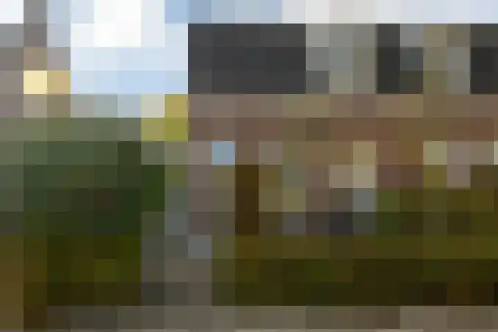 Van Heeswijkstraat 20 Udenhout thumbnail 6